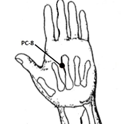 PC-8 Point