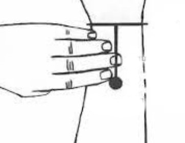 SJ-6 Point