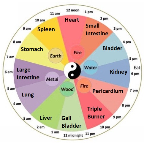 24-Hour Meridian Clock showing horary points